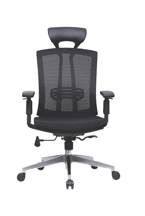 Executive Mesh Back and Cushioned Fabric Chair