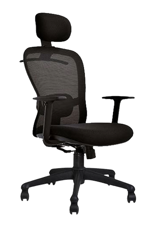 Executive Mesh Chairs