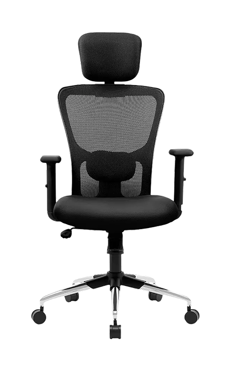 Executive Mesh Back and Cushioned Fabric Chairs