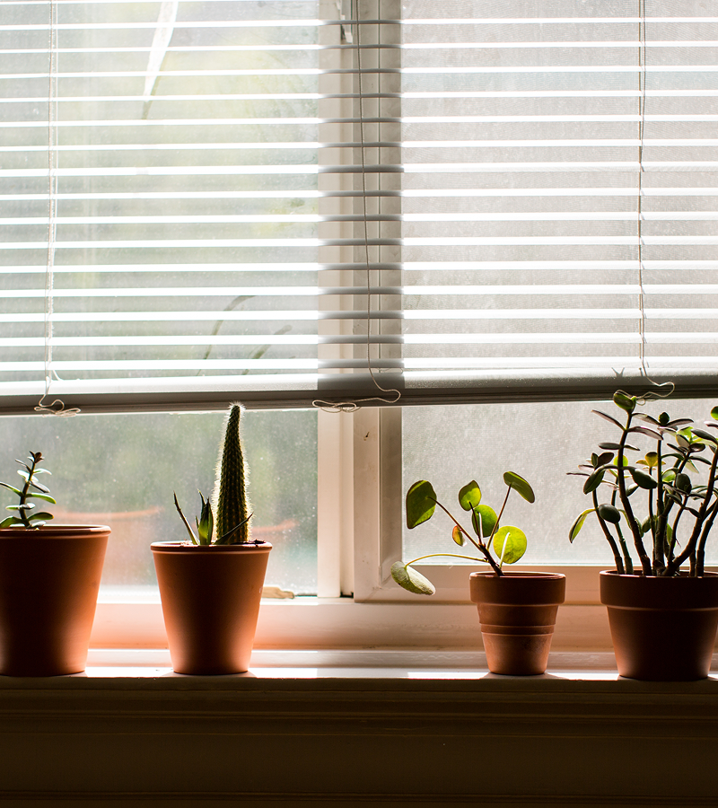 blinds